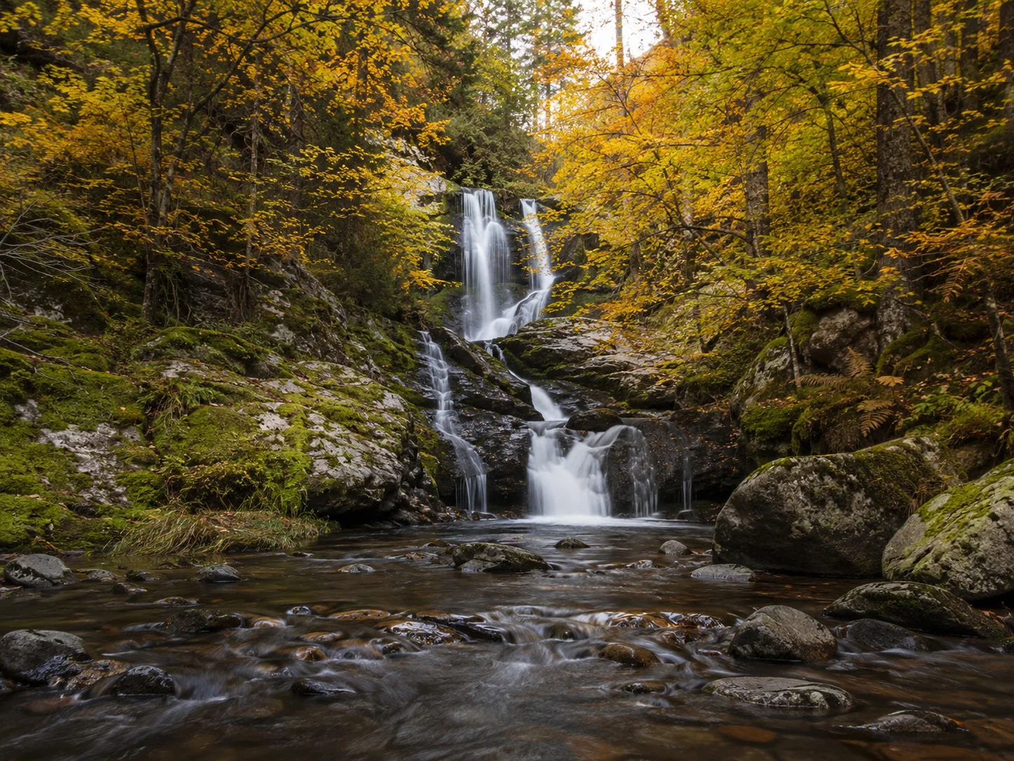 Hayedos y cascadas del Parque Natural Sierra de Cebollera, La Rioja